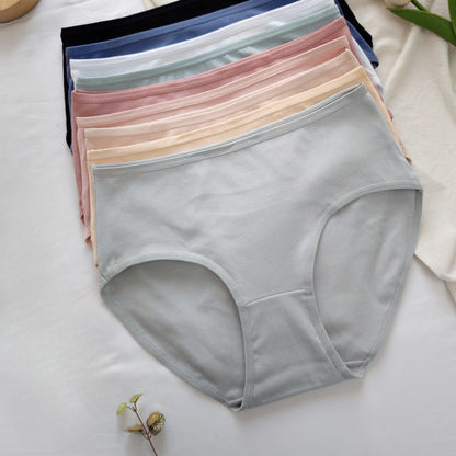 Women’s Cotton Brief Panties | Soft High Coverage – Velora Collection
